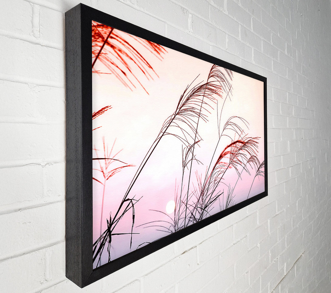  A Canvas Print of Grass Sunset Canvas Wall Art