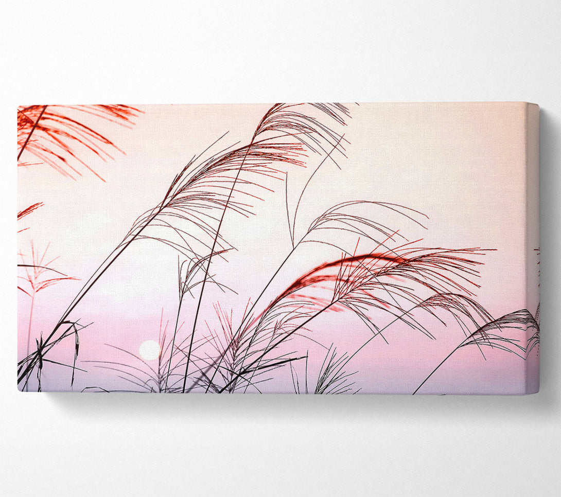  A Canvas Print of Grass Sunset Canvas Wall Art