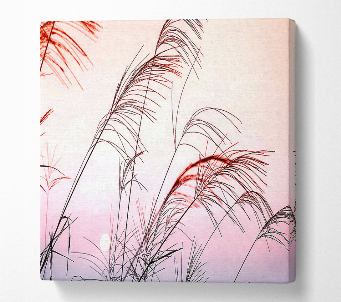  A Canvas Print of Grass Sunset Canvas Wall Art
