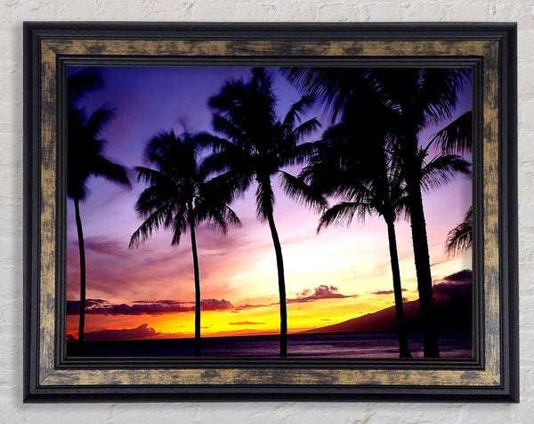 Palm Trees Sunset Framed Print