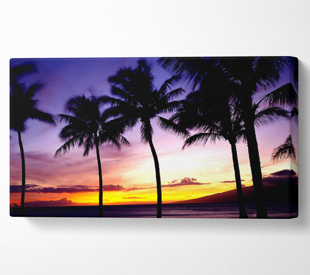  A Canvas Print of Palm Trees Sunset Canvas Print