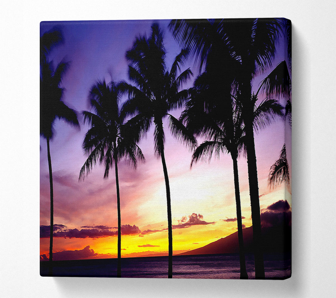  A Canvas Print of Palm Trees Sunset Canvas Print