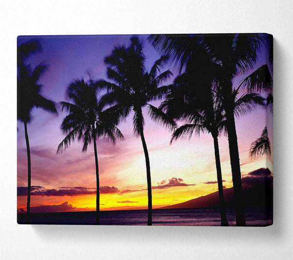  A Canvas Print of Palm Trees Sunset Canvas Print