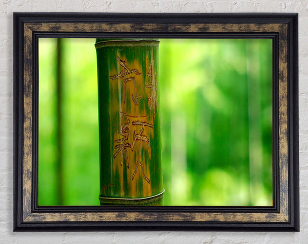 Engraved Bamboo Framed Print