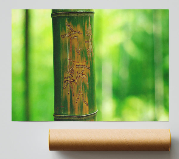 Engraved Bamboo Poster