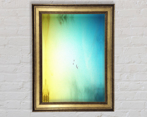 Family Of Birds Framed Print
