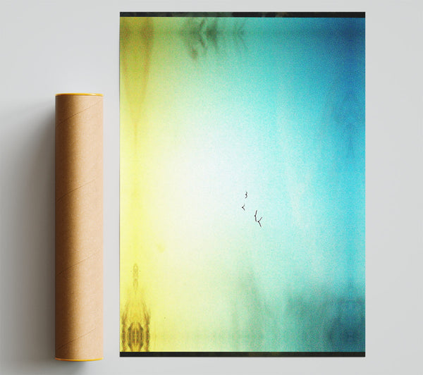 Family Of Birds Print