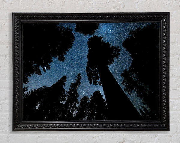 Andromeda und die Milchstraße über Oregon