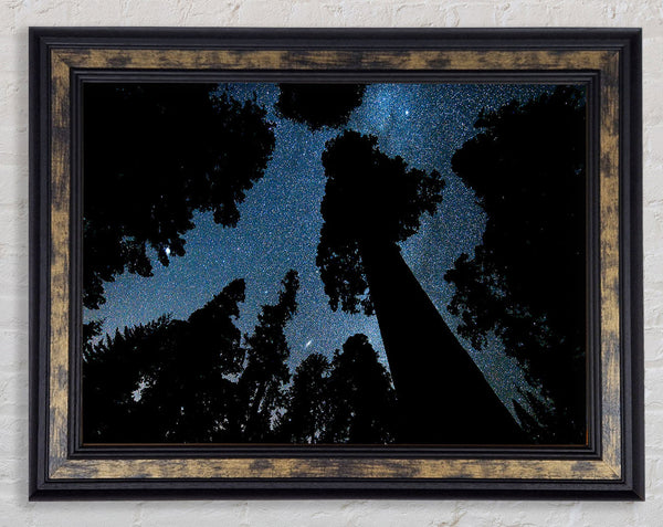 Andromeda And The Milky Way Above The Oregon Framed Print