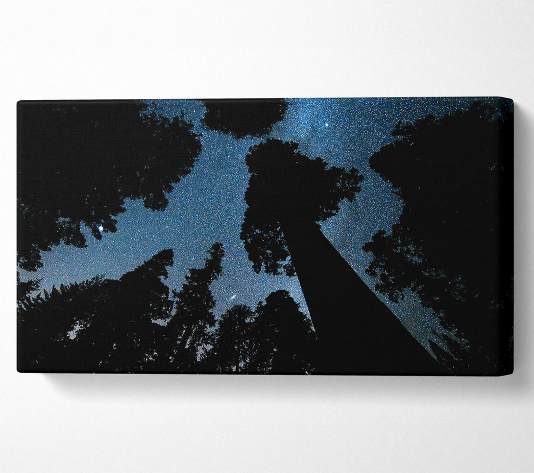  A Canvas Print of Andromeda And The Milky Way Above The Oregon Canvas Art