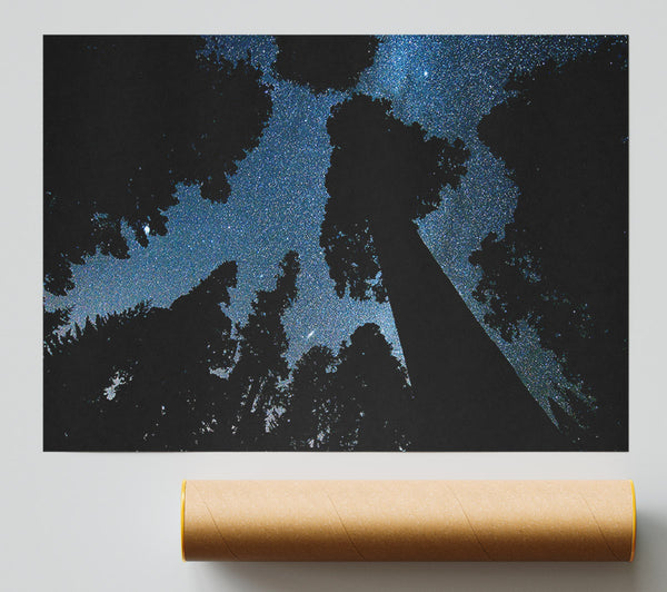 Andromeda And The Milky Way Above The Oregon Poster