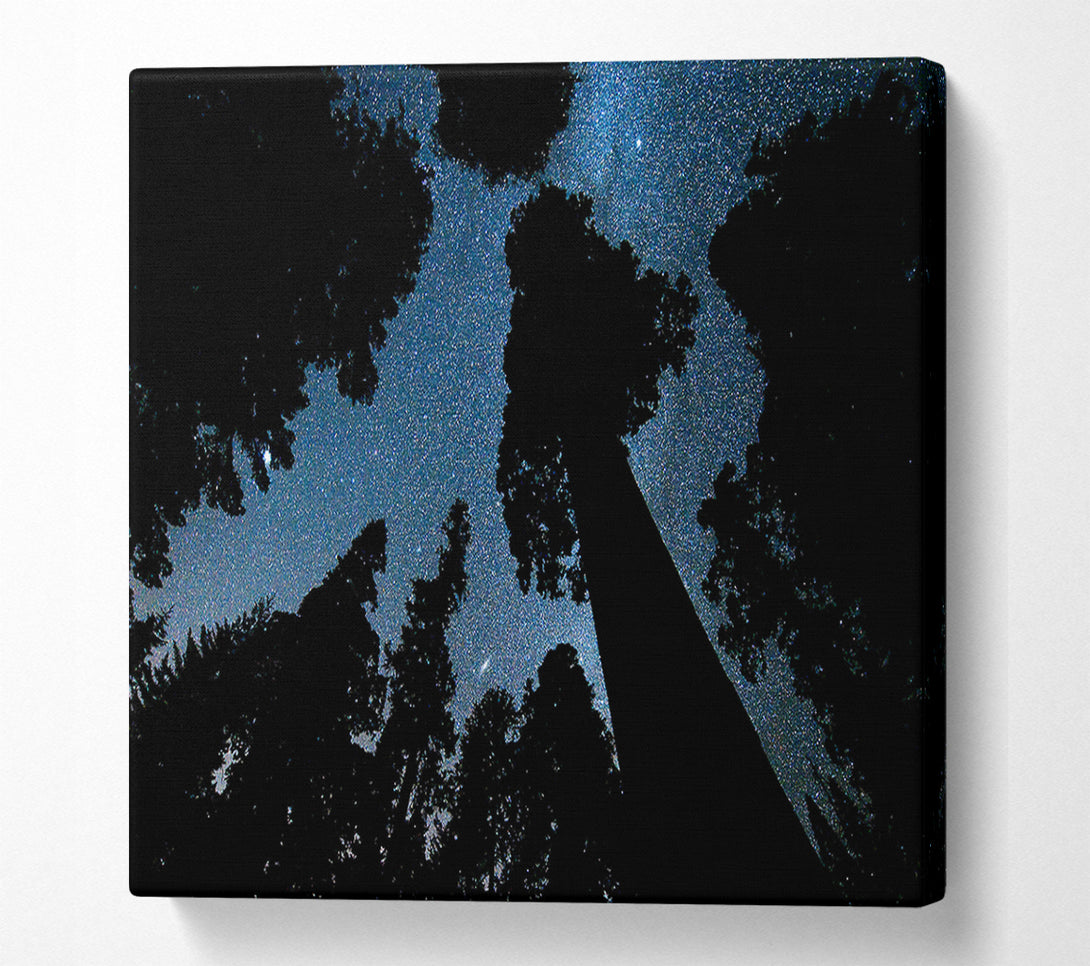  A Canvas Print of Andromeda And The Milky Way Above The Oregon Canvas Art