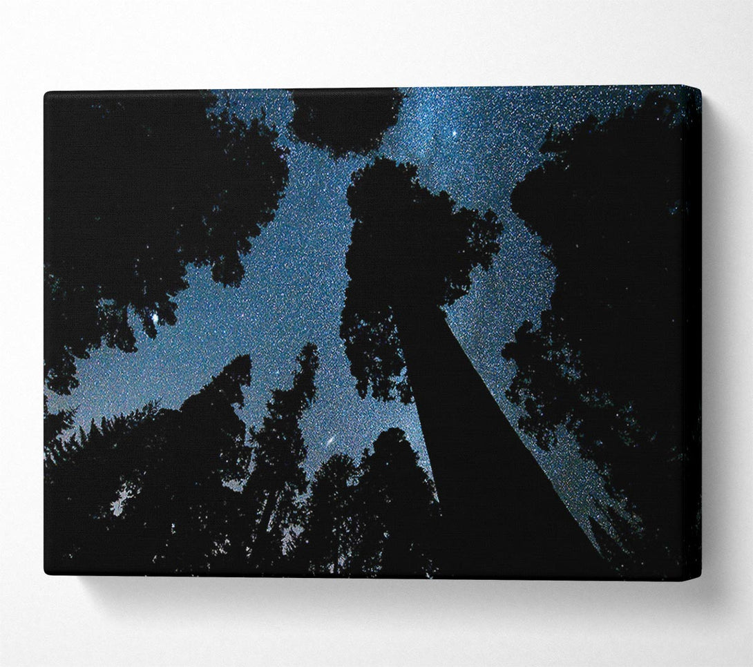  A Canvas Print of Andromeda And The Milky Way Above The Oregon Canvas Art