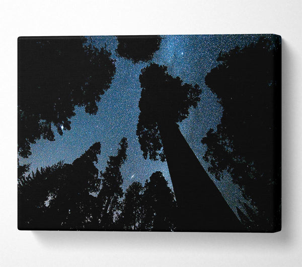  A Canvas Print of Andromeda And The Milky Way Above The Oregon Canvas Art