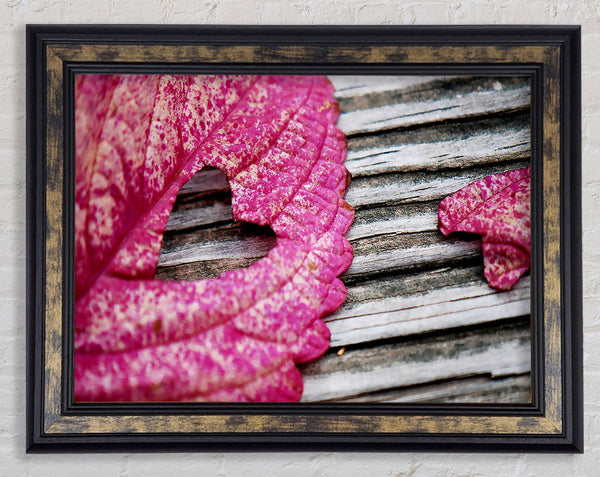 Heart Leaf Framed Print
