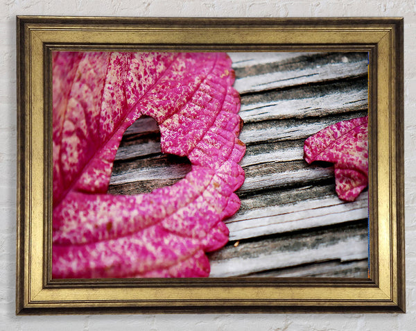 Heart Leaf Framed Print