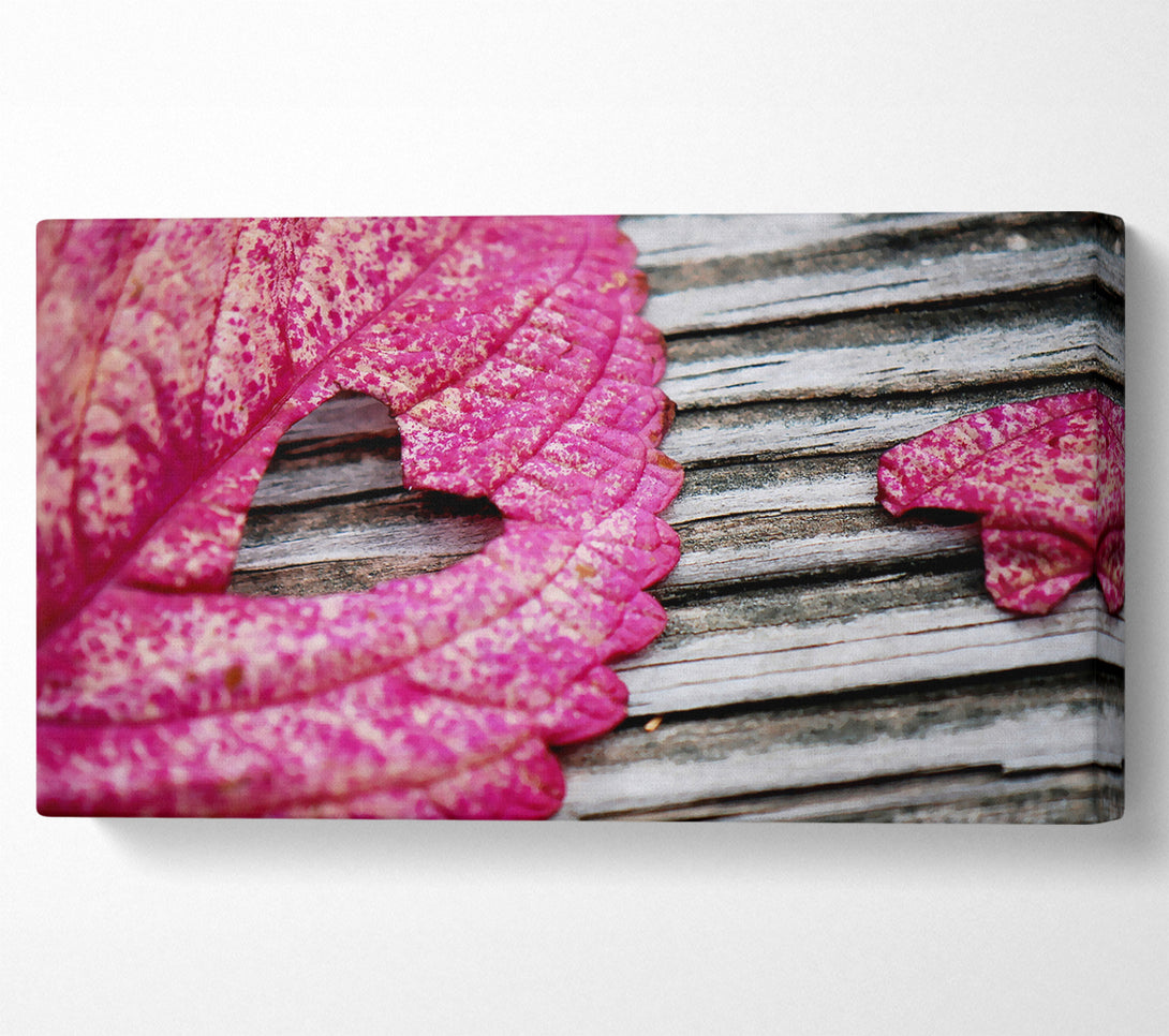  A Canvas Print of Heart Leaf Canvas Wall Art