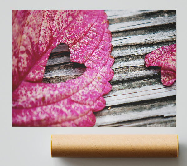 Heart Leaf Giclee Print