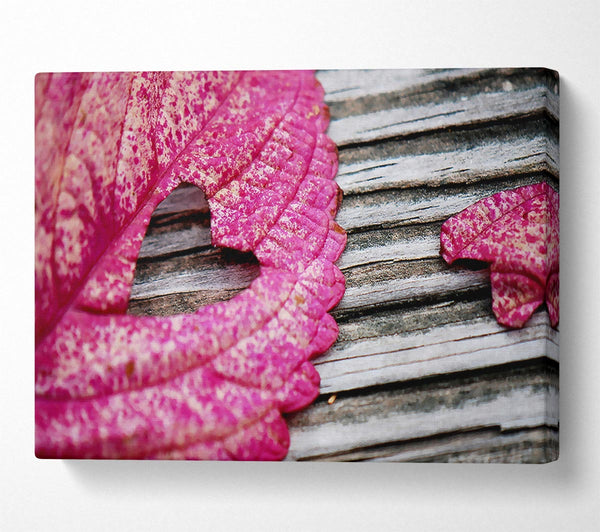  A Canvas Print of Heart Leaf Canvas Wall Art