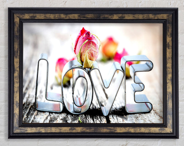 Valentines Day Love Rose Framed Print