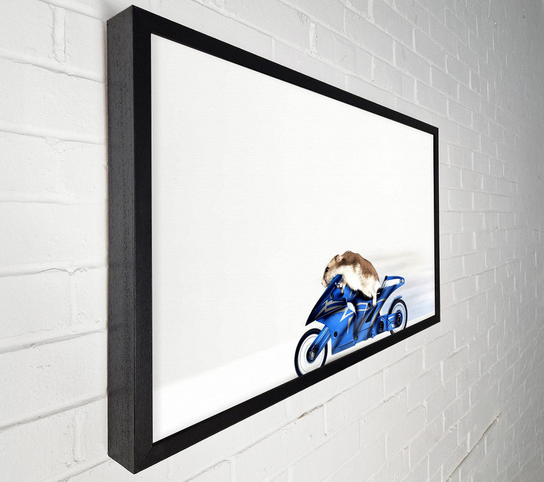  A Canvas Print of Mouse Riding Motorcycle Canvas Art