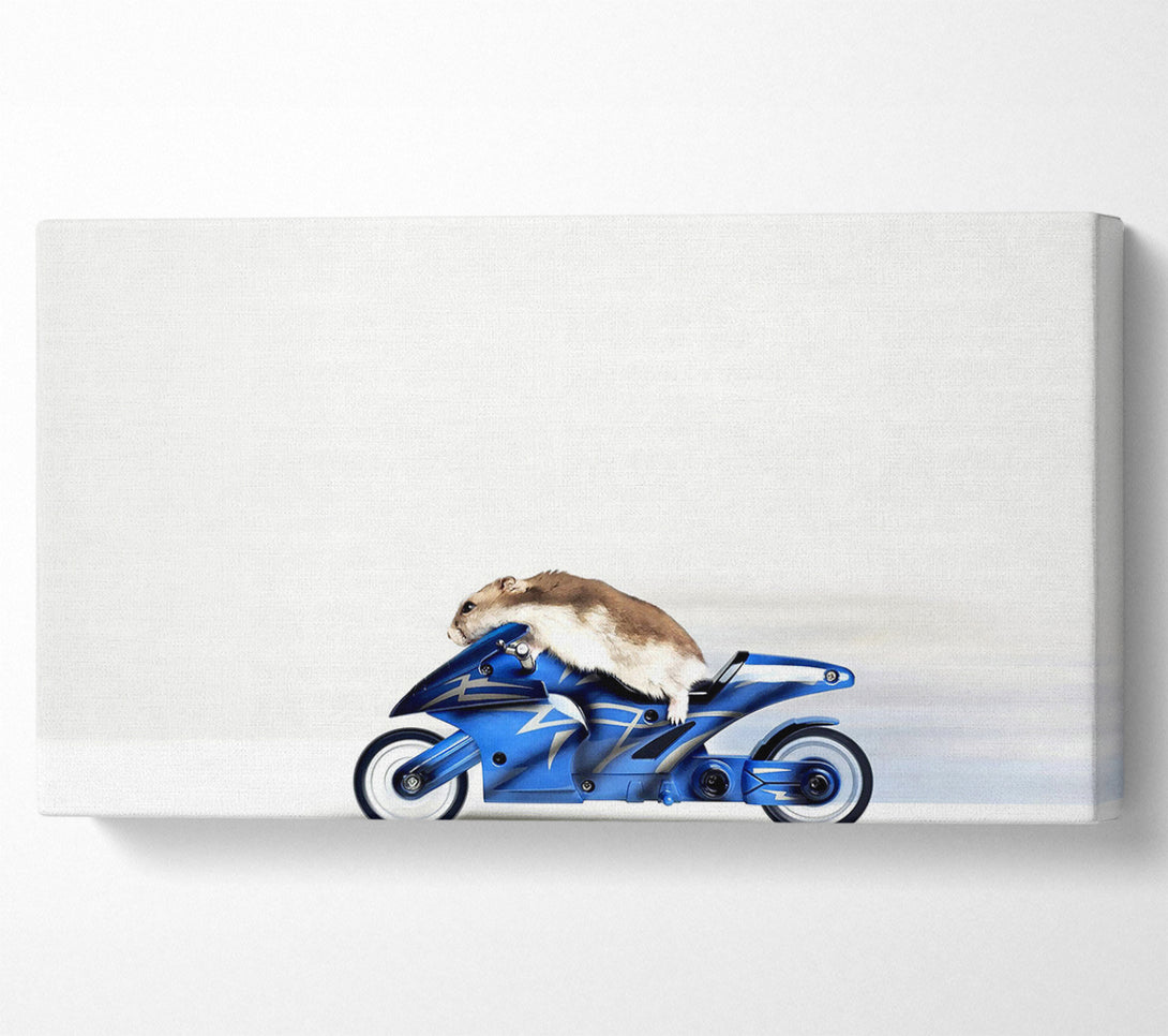  A Canvas Print of Mouse Riding Motorcycle Canvas Art