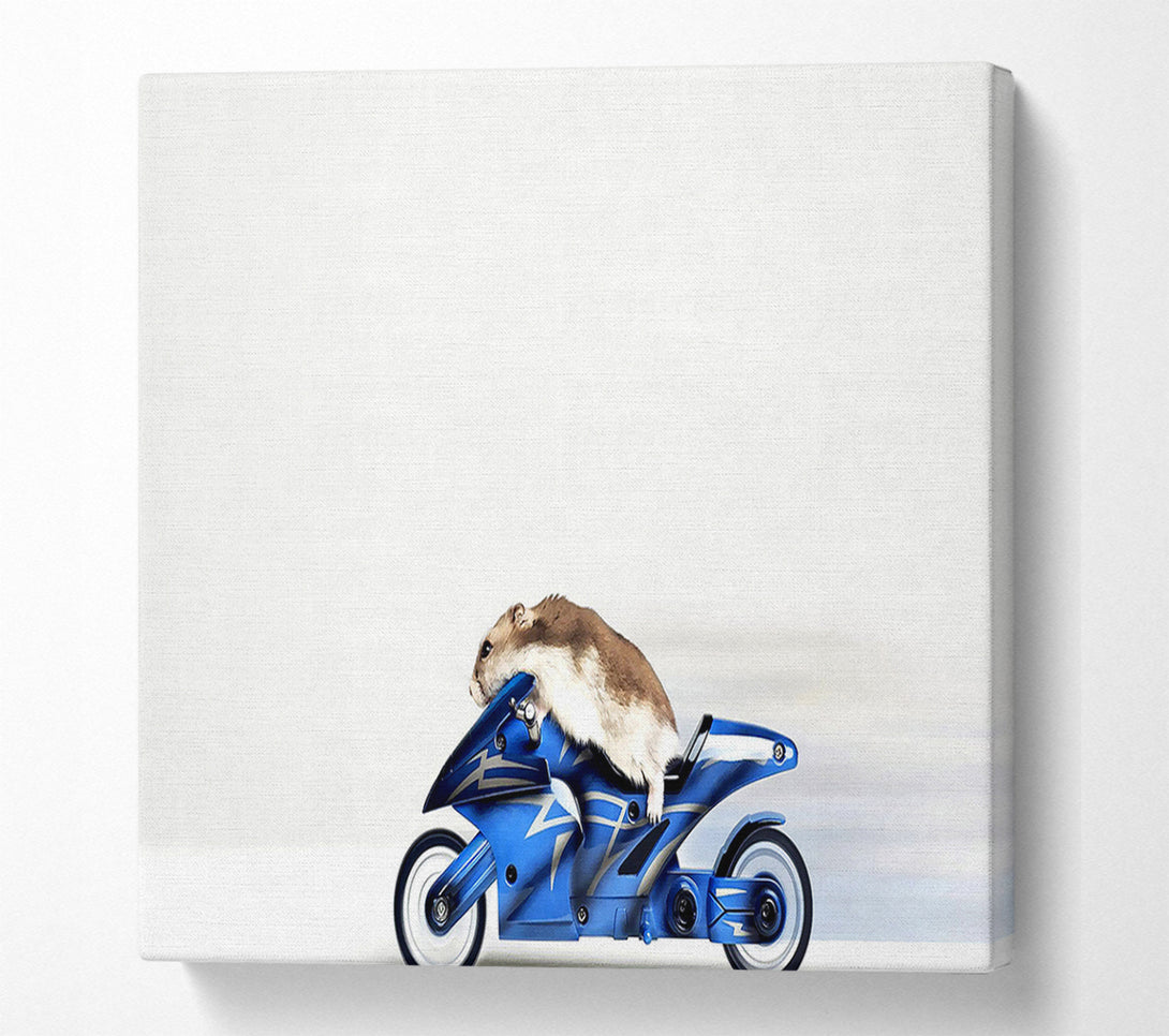  A Canvas Print of Mouse Riding Motorcycle Canvas Art