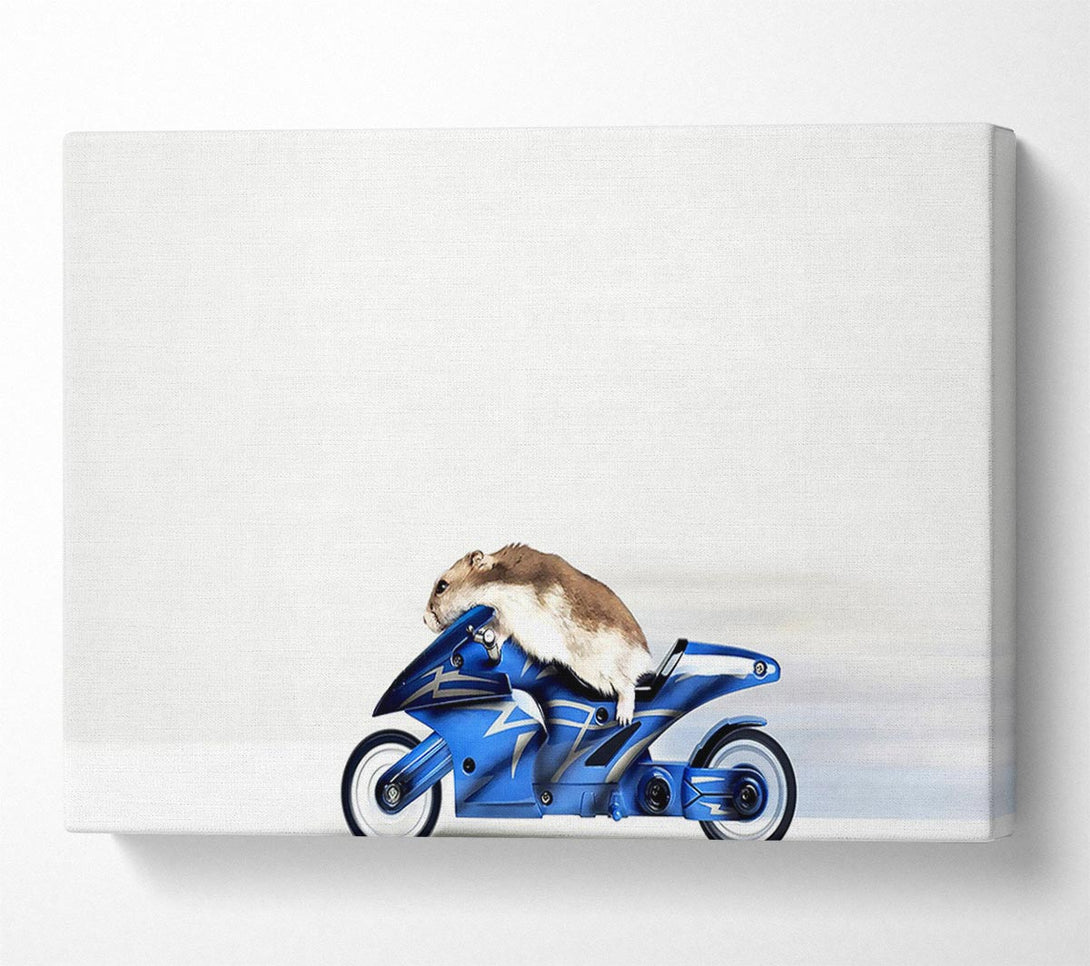  A Canvas Print of Mouse Riding Motorcycle Canvas Art