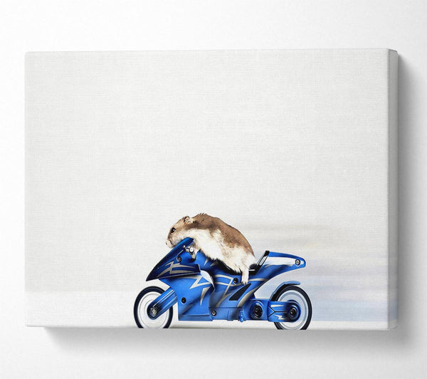  A Canvas Print of Mouse Riding Motorcycle Canvas Art