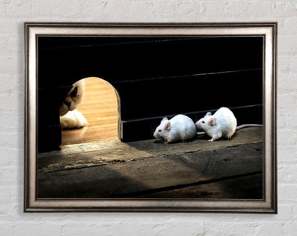 Katze und Mäuse