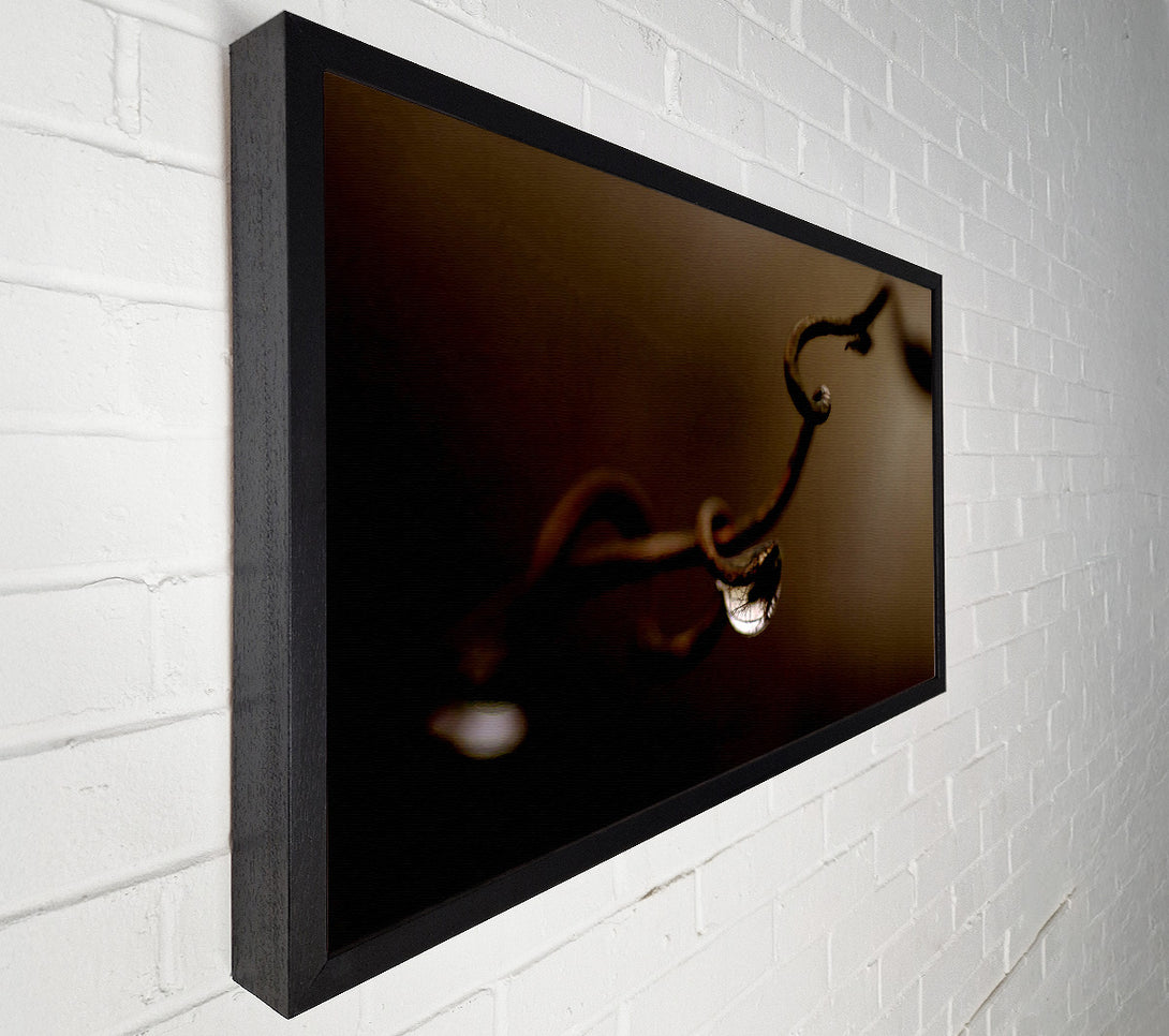  A Canvas Print of Drop Of Water Brown Canvas Art