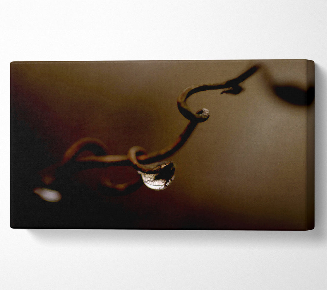  A Canvas Print of Drop Of Water Brown Canvas Art