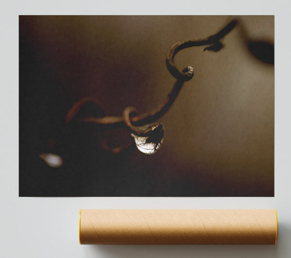 Drop Of Water Brown Print