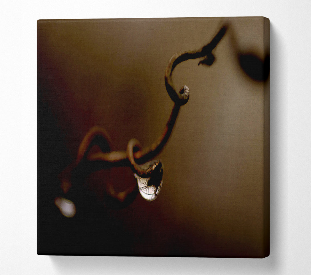  A Canvas Print of Drop Of Water Brown Canvas Art