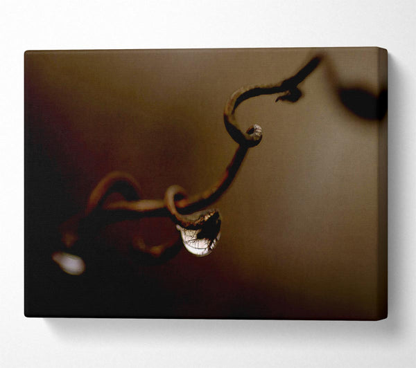  A Canvas Print of Drop Of Water Brown Canvas Art