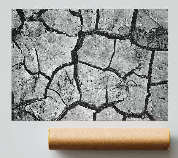 Cracked Mud Print