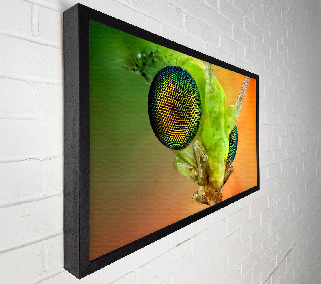  A Canvas Print of Macro Eyes Canvas Print