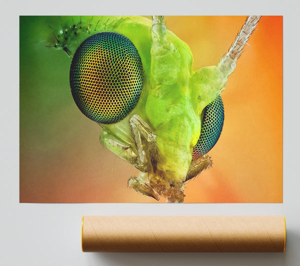 Macro Eyes Poster
