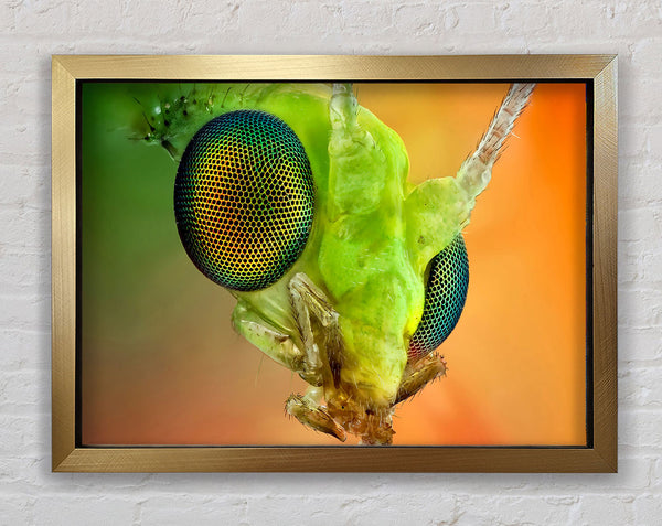 Macro Eyes Framed Print