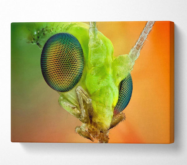  A Canvas Print of Macro Eyes Canvas Print