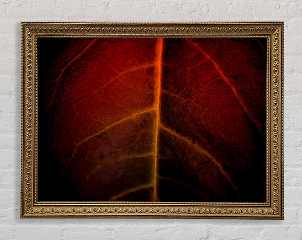 Blood Leave Framed Print