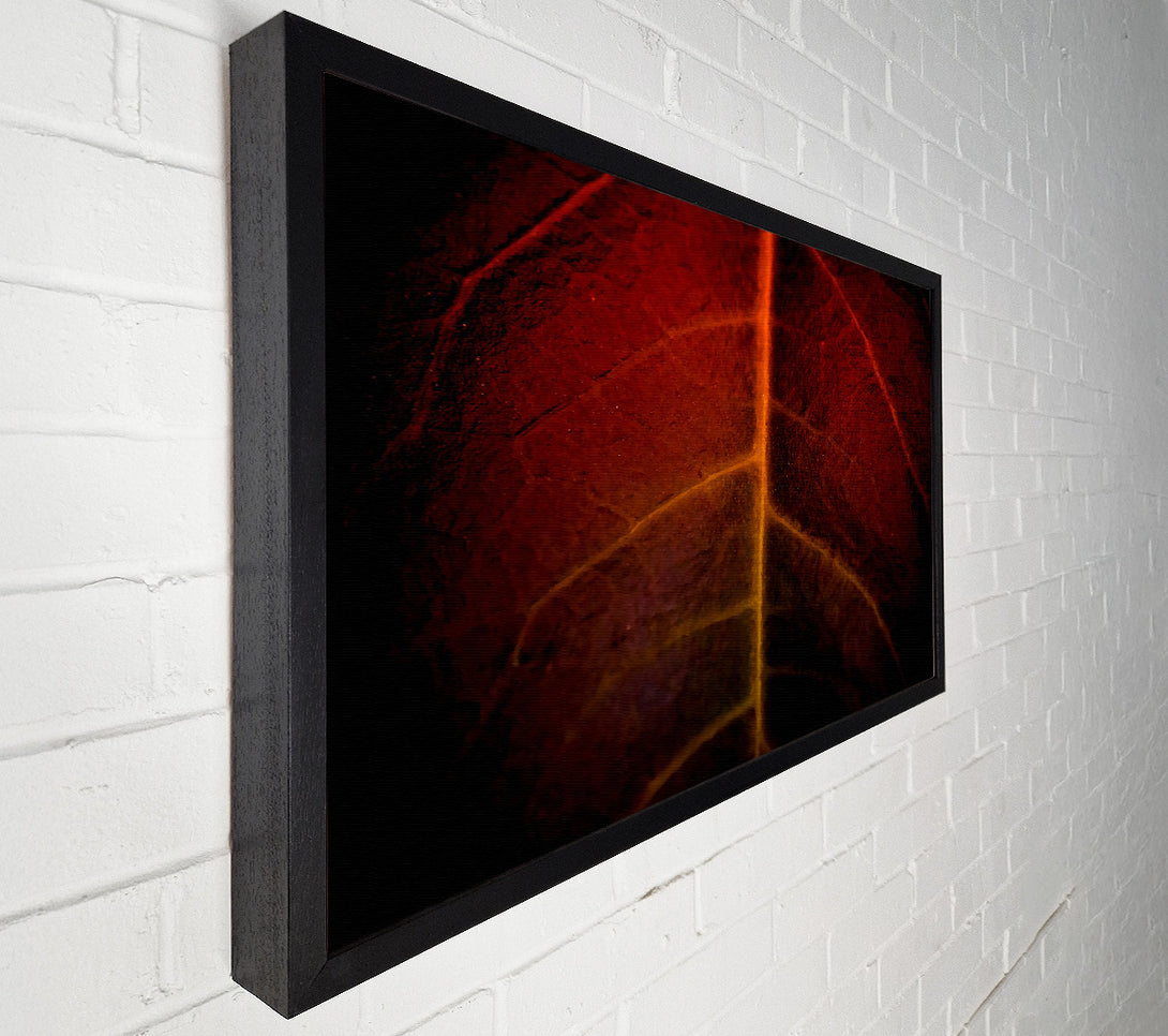  A Canvas Print of Blood Leave Canvas Print