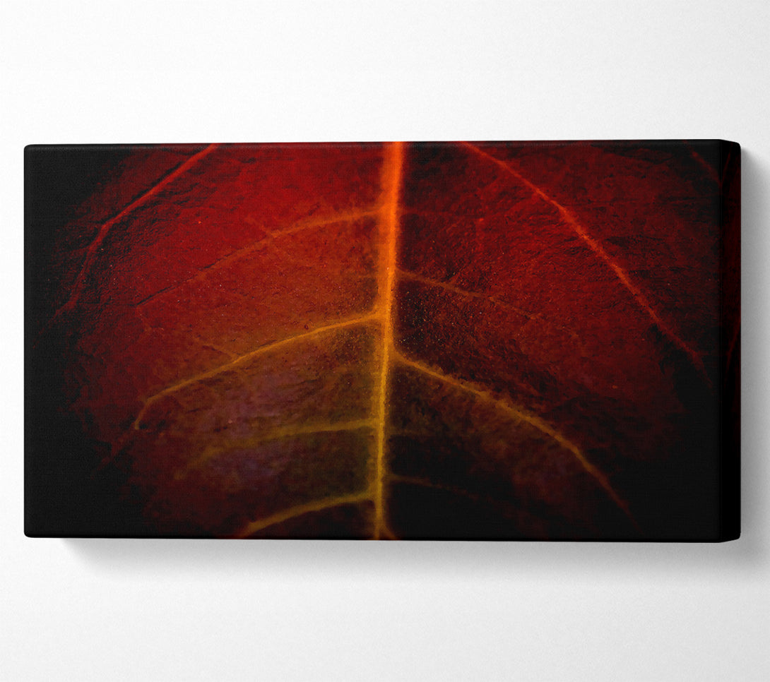  A Canvas Print of Blood Leave Canvas Print