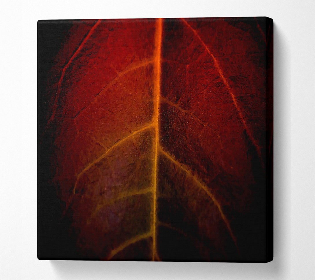  A Canvas Print of Blood Leave Canvas Print