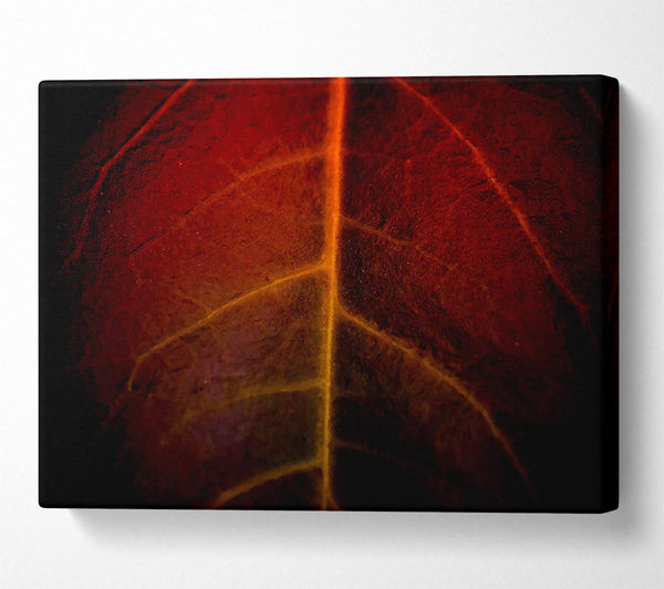  A Canvas Print of Blood Leave Canvas Print