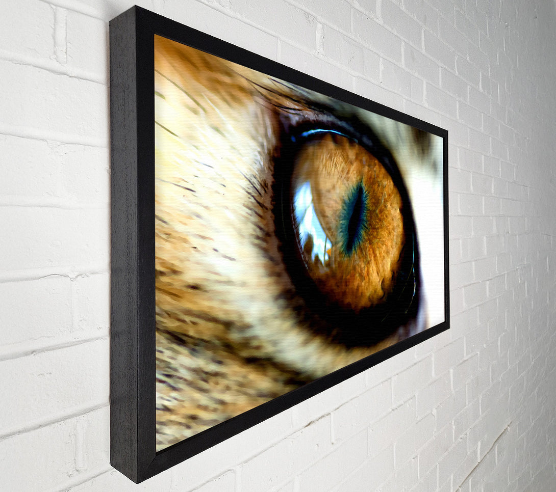  A Canvas Print of Mordor Eye Canvas Art