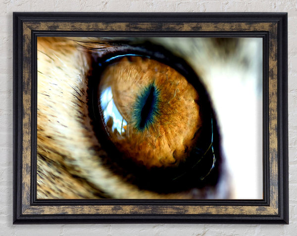 Mordor Eye Framed Print