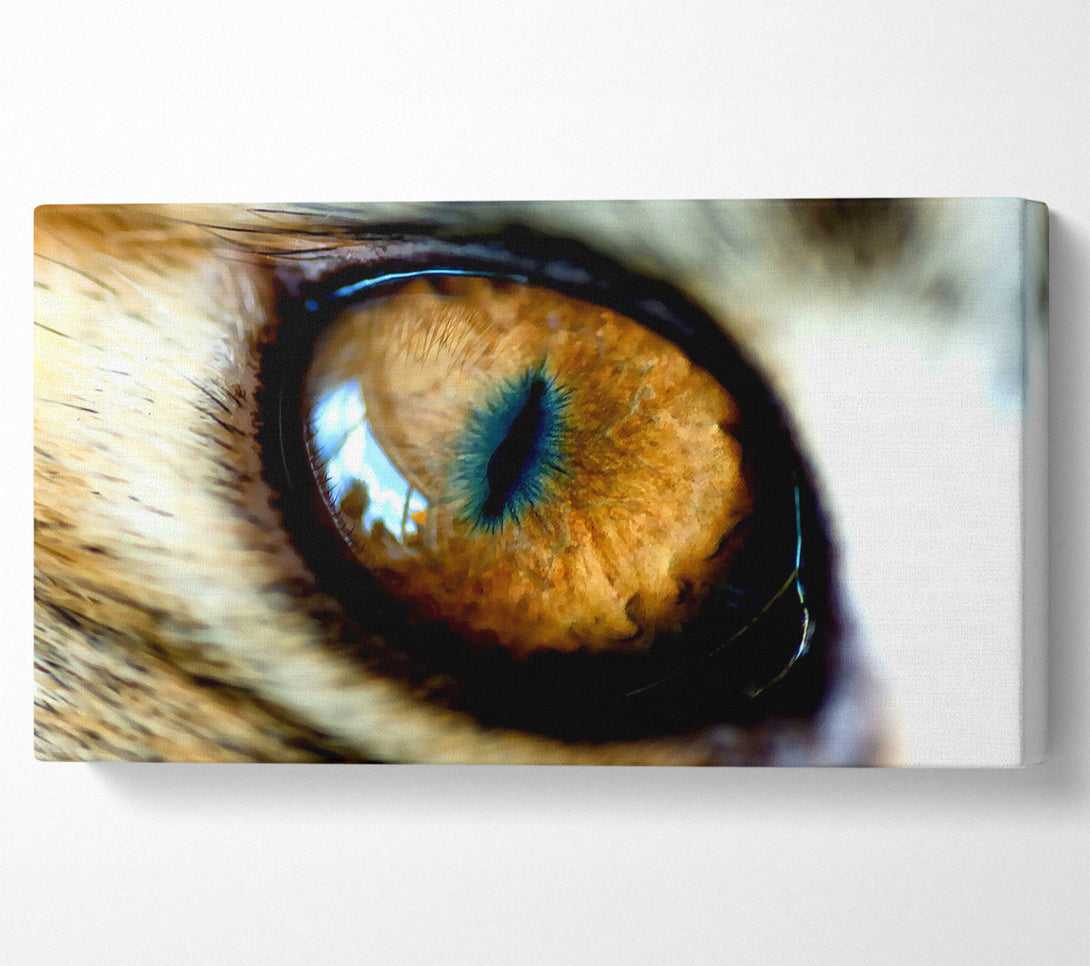  A Canvas Print of Mordor Eye Canvas Art