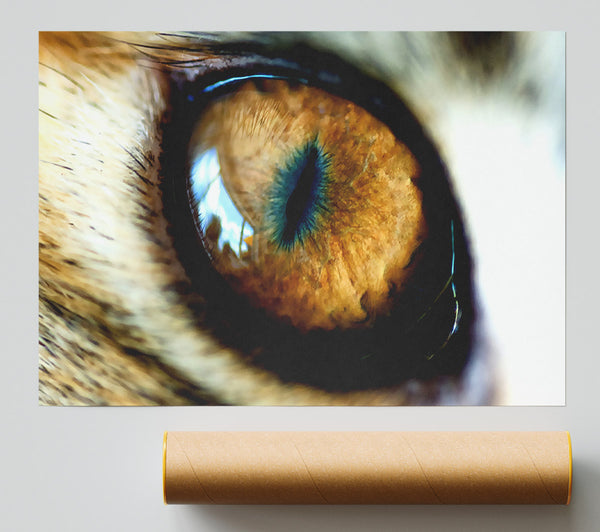 Mordor Eye Poster