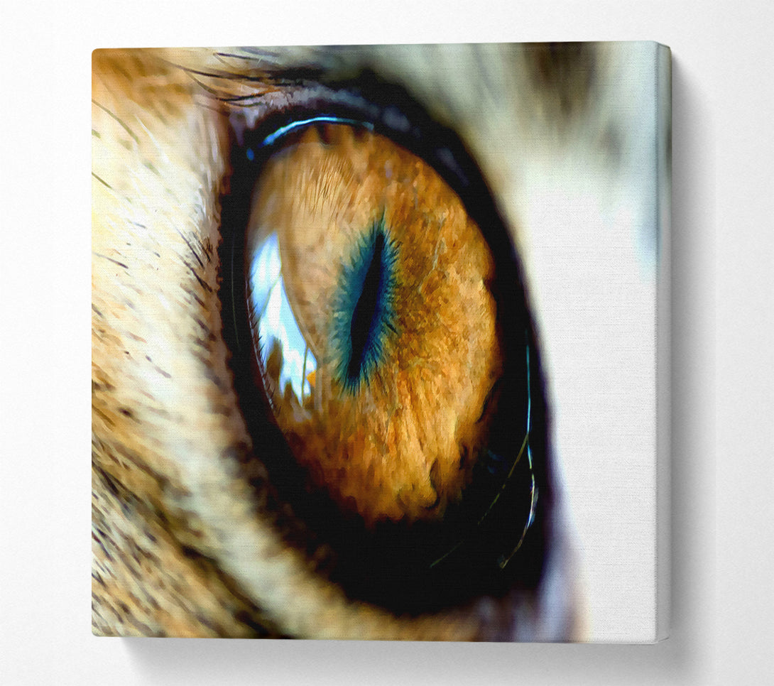  A Canvas Print of Mordor Eye Canvas Art